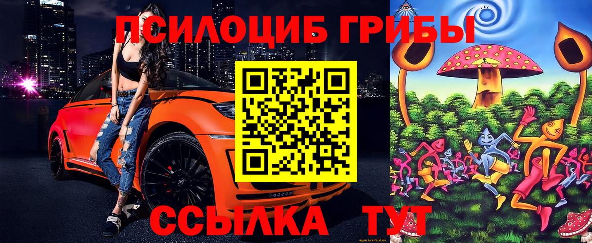 Псилоцибиновые грибы прущие грибы  Вход с VPN  Мценск 